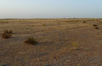 أرض - استوديو للبيع في بناية البطينة 9 - البطينة - الشارقة