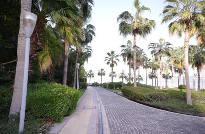 Apartment - 3 Bedrooms - 4 Bathrooms for rent in Dream Palm Residence - The Crescent - Palm Jumeirah - Dubai