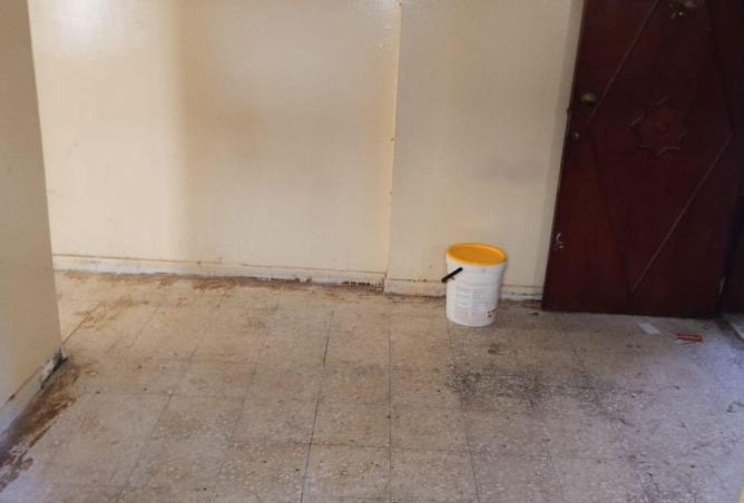 16059779 - Property Image 3