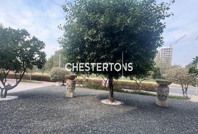 15953306 - Property Image 2