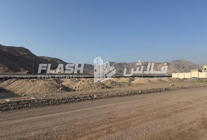 16304455 - صورة العقار 3