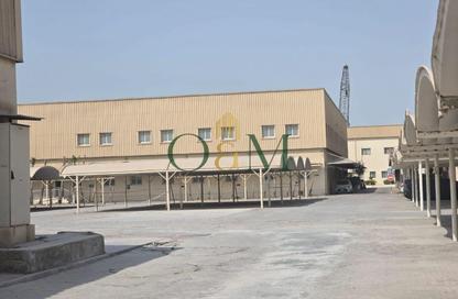 Office Space - Studio - 3 for rent in M-20 - Mussafah Industrial Area - Mussafah - Abu Dhabi