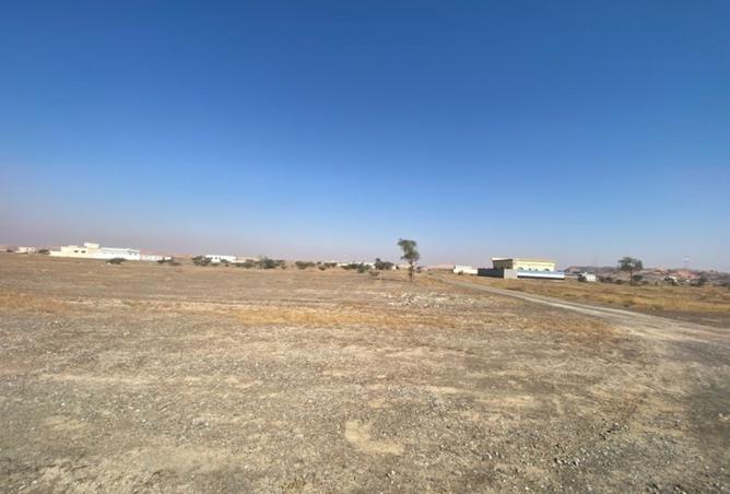 142371395 - Property Image 3