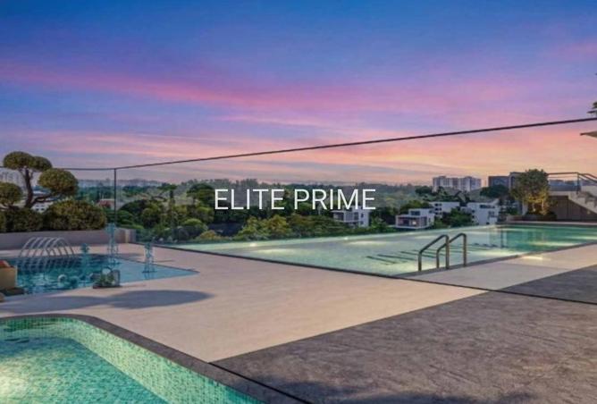 56127927 - Property Image 3