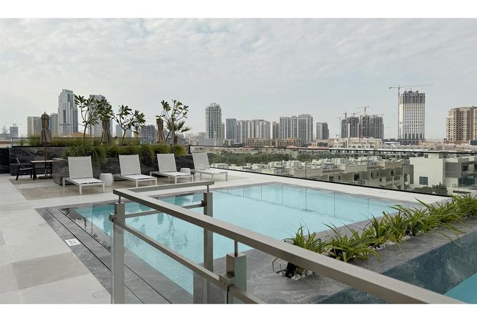 11427596 - Property Image 3