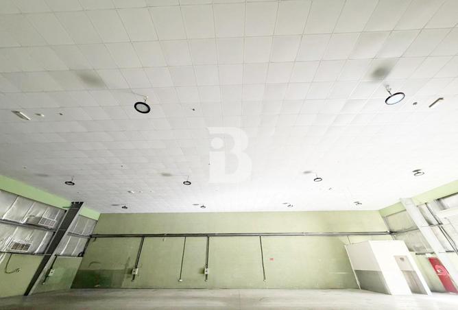 64405165 - Property Image 3