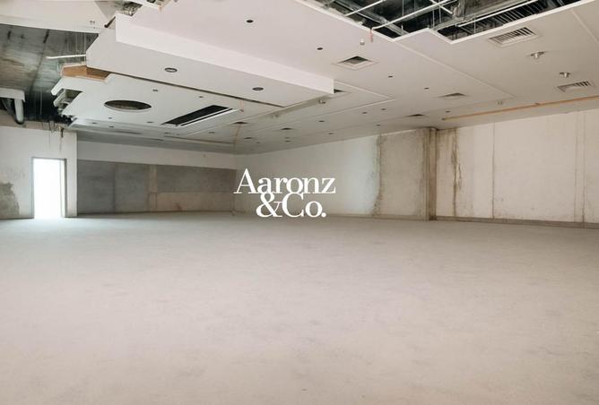 122459348 - Property Image 3
