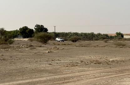 أرض - استوديو للبيع في المنامة - عجمان أرض - استوديو للبيع في المنامة - عجمان