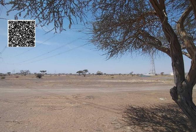 16285758 - صورة العقار 3