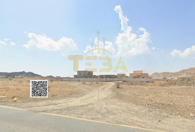 133881479 - Property Image 2