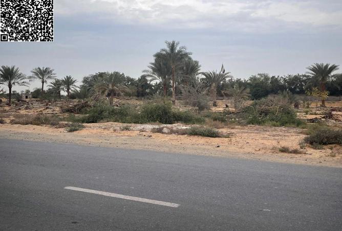 55363037 - صورة العقار 3