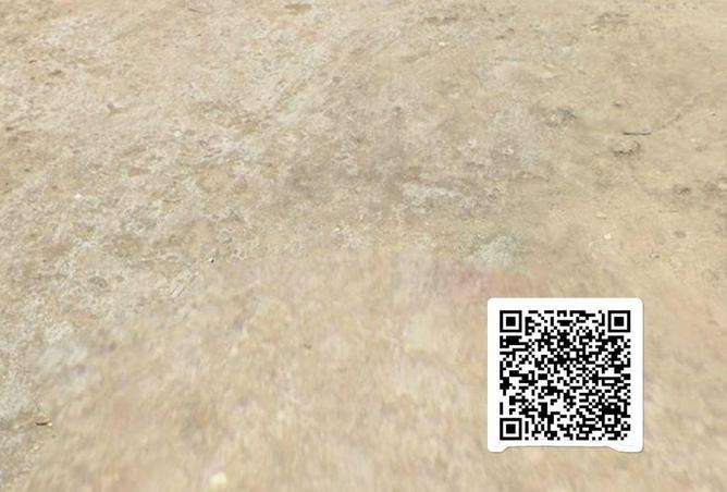 16102873 - Property Image 3