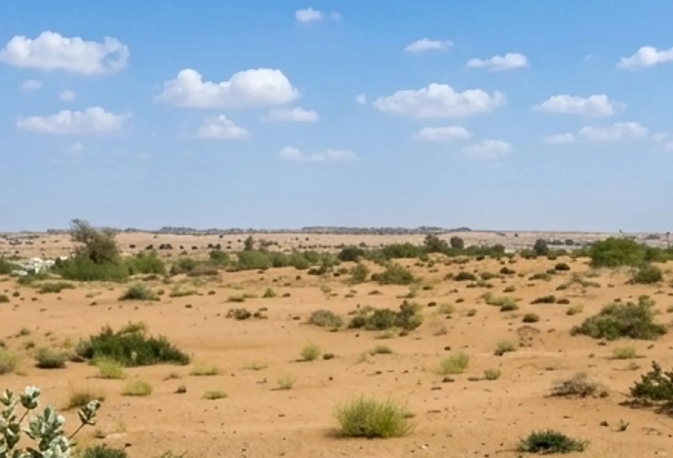 138775632 - الصورة الرئيسية للعقار