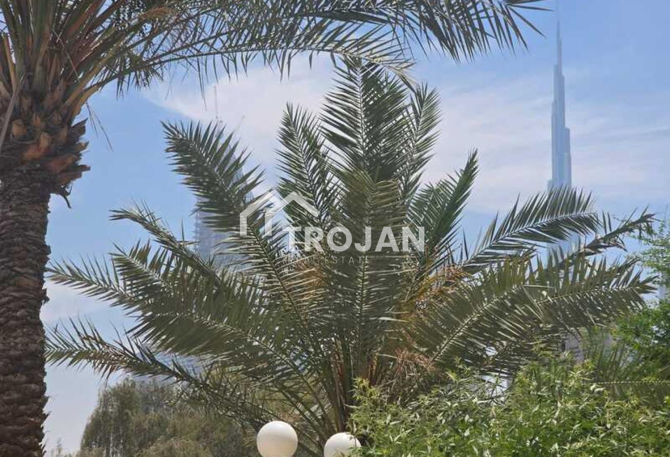 Spacious Villa | Huge Plot | Prime Location photo 15