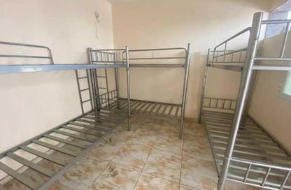 Labor Camp - Studio - 7+ Bathrooms for rent in Al Quoz Industrial Area 3 - Al Quoz Industrial Area - Al Quoz - Dubai