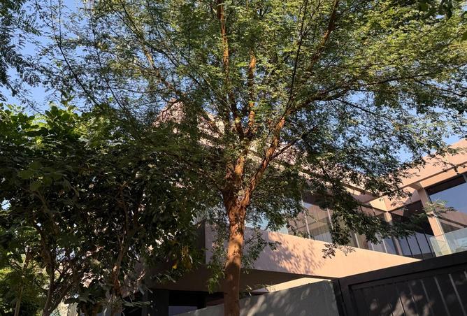 16311309 - الصورة الرئيسية للعقار