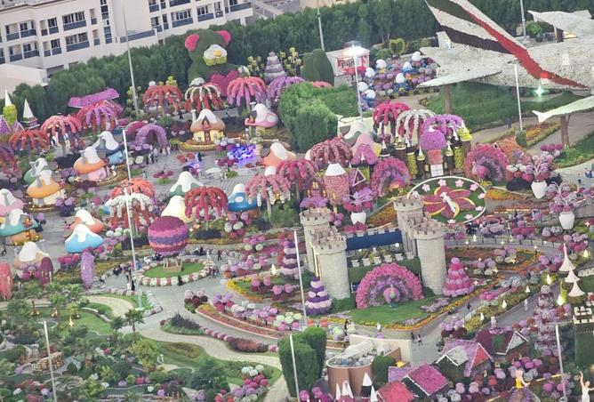 60129739 - صورة العقار 3