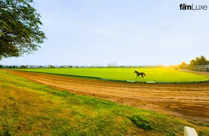 فيلا - 6 غرف نوم - 7 حمامات للبيع في منازل البولو - المرابع العربية - دبي
