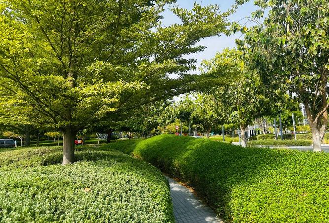 81115411 - Property Image 2