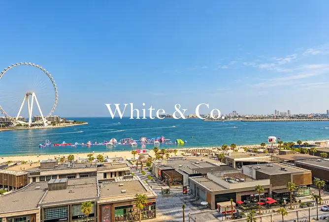 156926691 - Property Image 3
