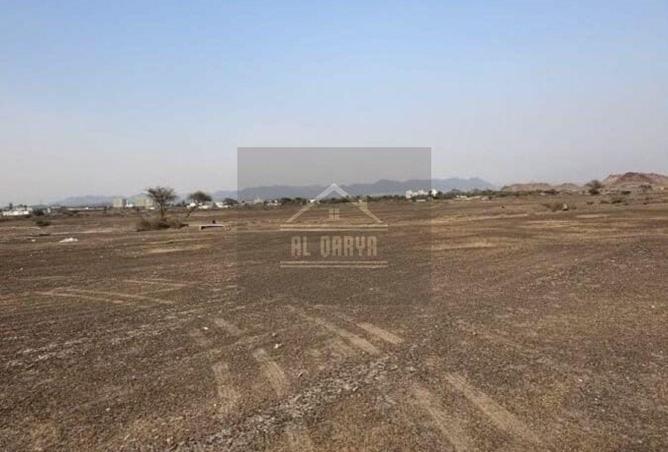 129302106 - Property Image 3
