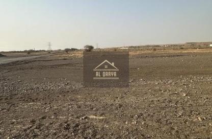 Land - Studio for sale in Al Helio 2 - Al Helio - Ajman Land - Studio for sale in Al Helio 2 - Al Helio - Ajman