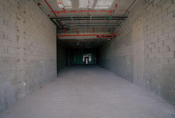 15992544 - Property Image 3