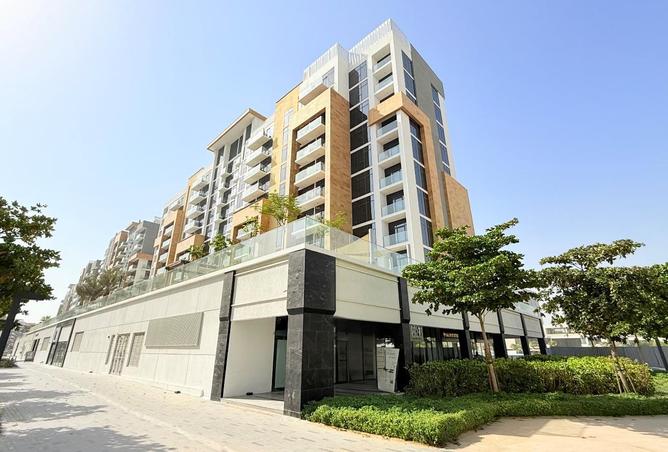 16098259 - Property Image 2