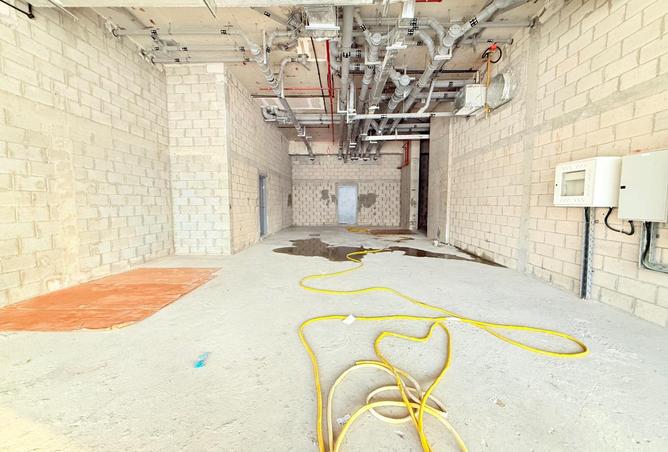 16098259 - Property Image 3