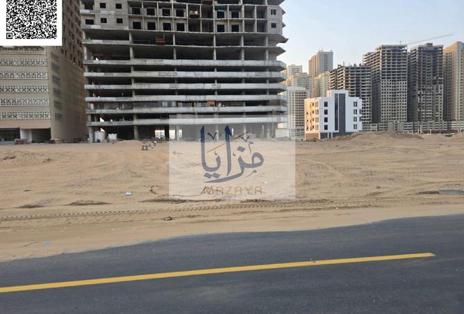 16239937 - Property Image 3