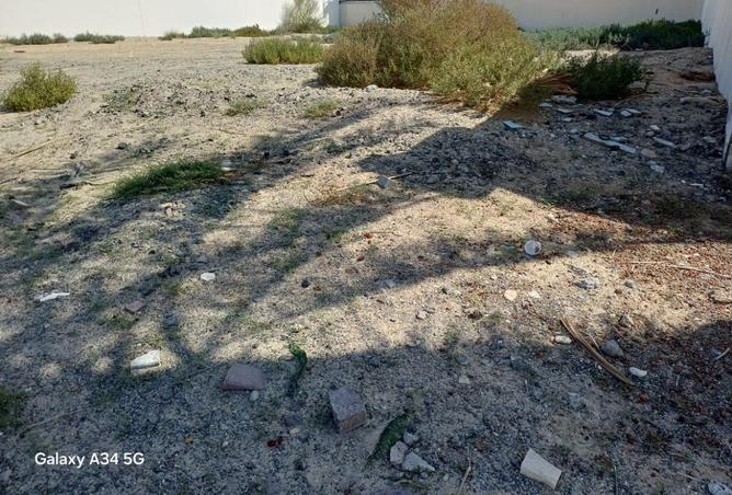 16332165 - Property Image 3