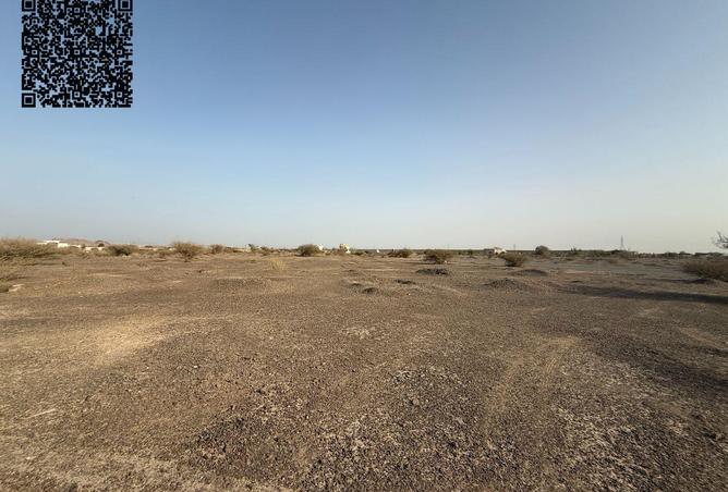 85769380 - صورة العقار 3