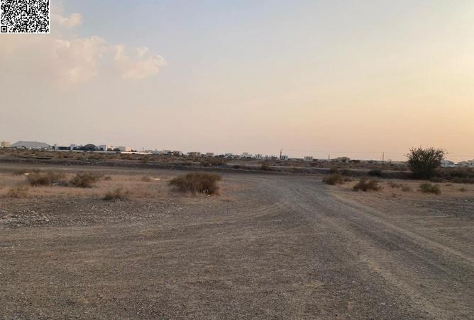 101697963 - صورة العقار 3