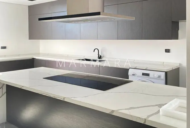 146470595 - Property Image 3
