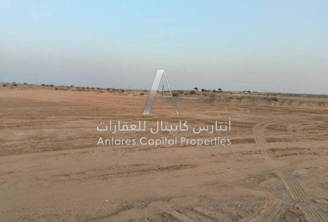 16229448 - Property Image 3