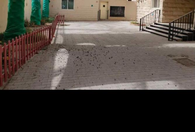 96951652 - Property Image 3