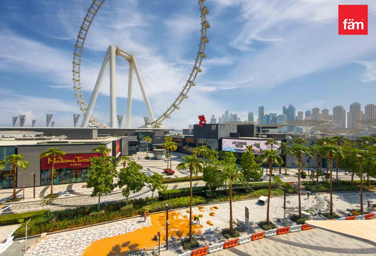 Vacant | Fully Furnished | Ain Dubai View photo 21