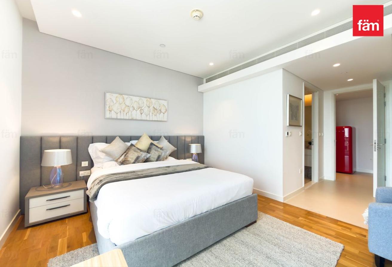 Vacant | Fully Furnished | Ain Dubai View photo 20