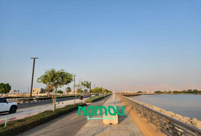 54397516 - صورة العقار 3