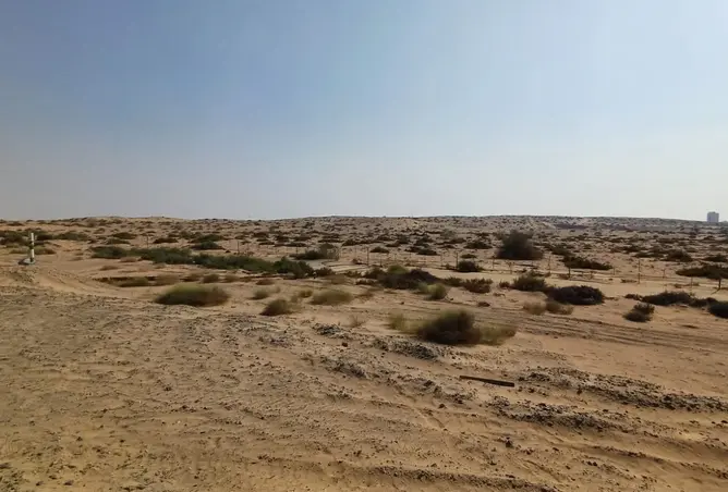 148645195 - صورة العقار 3