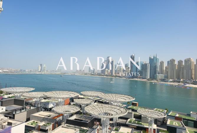 118569252 - صورة العقار 2