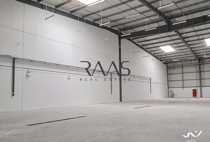 16234004 - صورة العقار 3