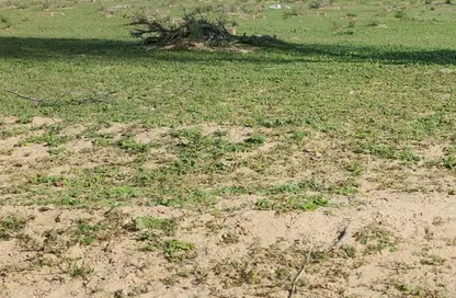 Land - Studio for sale in Kabbali Hills - Al Helio 2 - Al Helio - Ajman