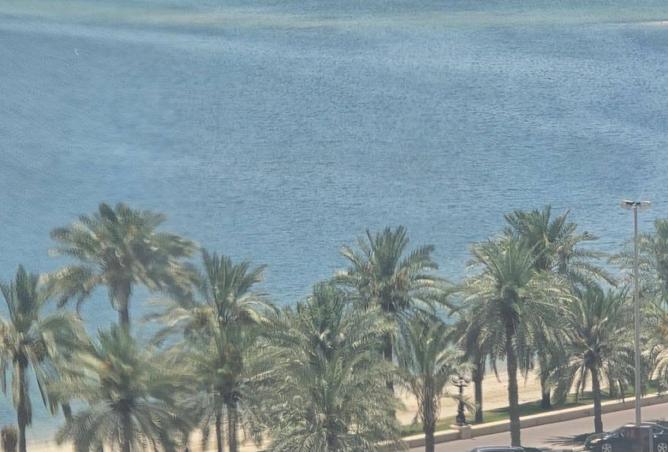 145052898 - صورة العقار 3