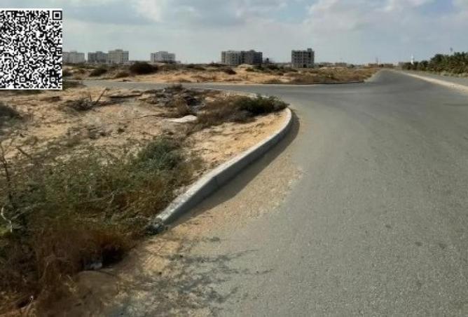 67836079 - Property Image 2