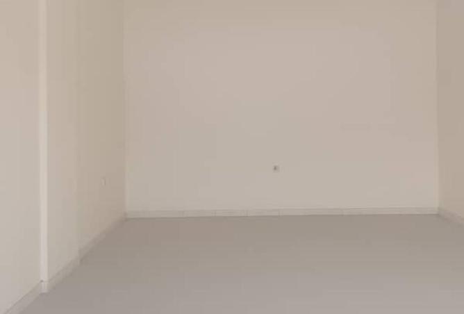 16176656 - Property Image 3