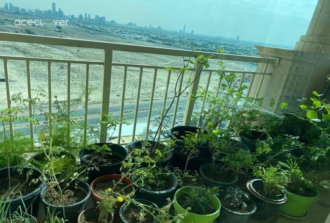 82793397 - صورة العقار 3