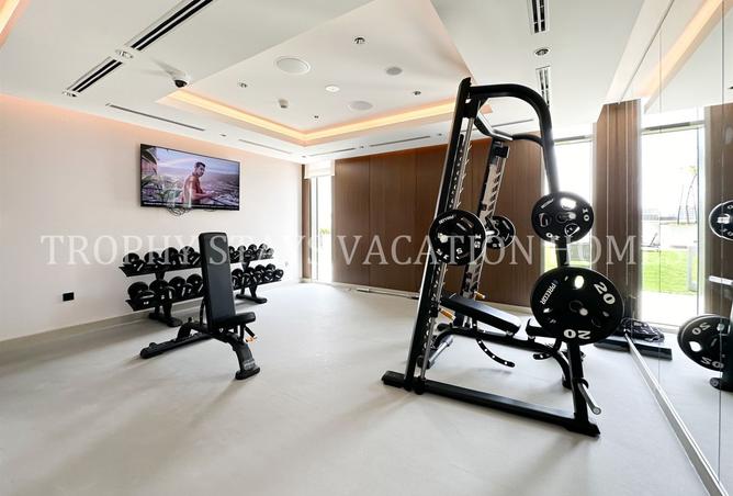 15949221 - Property Image 3