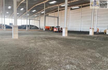 Warehouse - Studio - 3 Bathrooms for rent in Umm Dir - Umm Al Quwain
