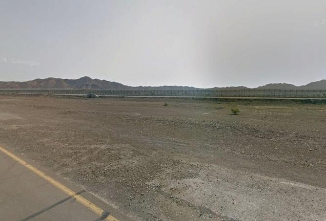 16159272 - Property Image 3